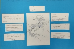 10-Corko