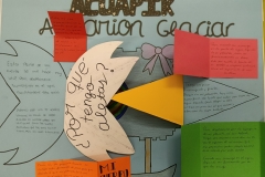 5-Acuapik2