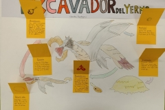 7-Excavadro2