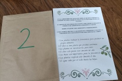 Prueba-2