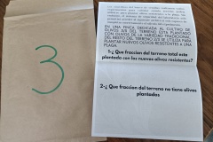 Prueba-3