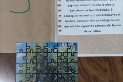 Prueba-5